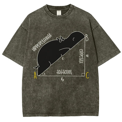 Interesting Math Teacher Math Lover Math Geek Vintage Distressed T-shirt