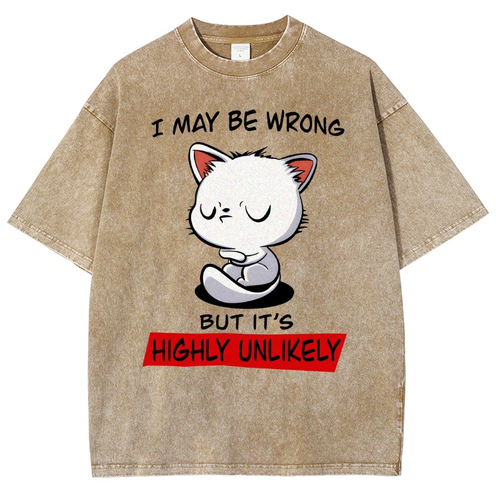 I May Be Wrong Vintage Distressed T-shirt