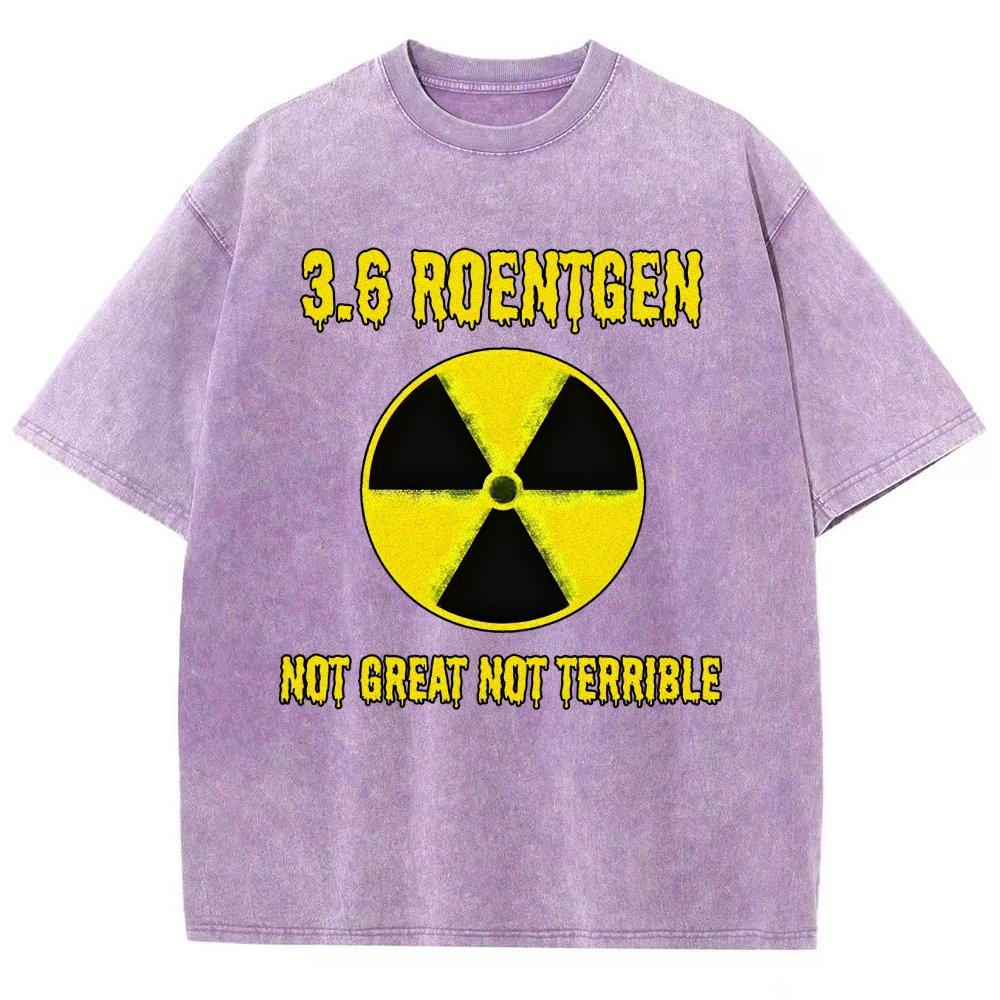 3.6 Roentgen Not Great Not Terrible Vintage Distressed T-shirt