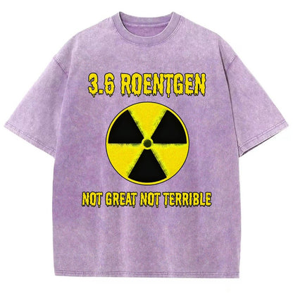 3.6 Roentgen Not Great Not Terrible Vintage Distressed T-shirt