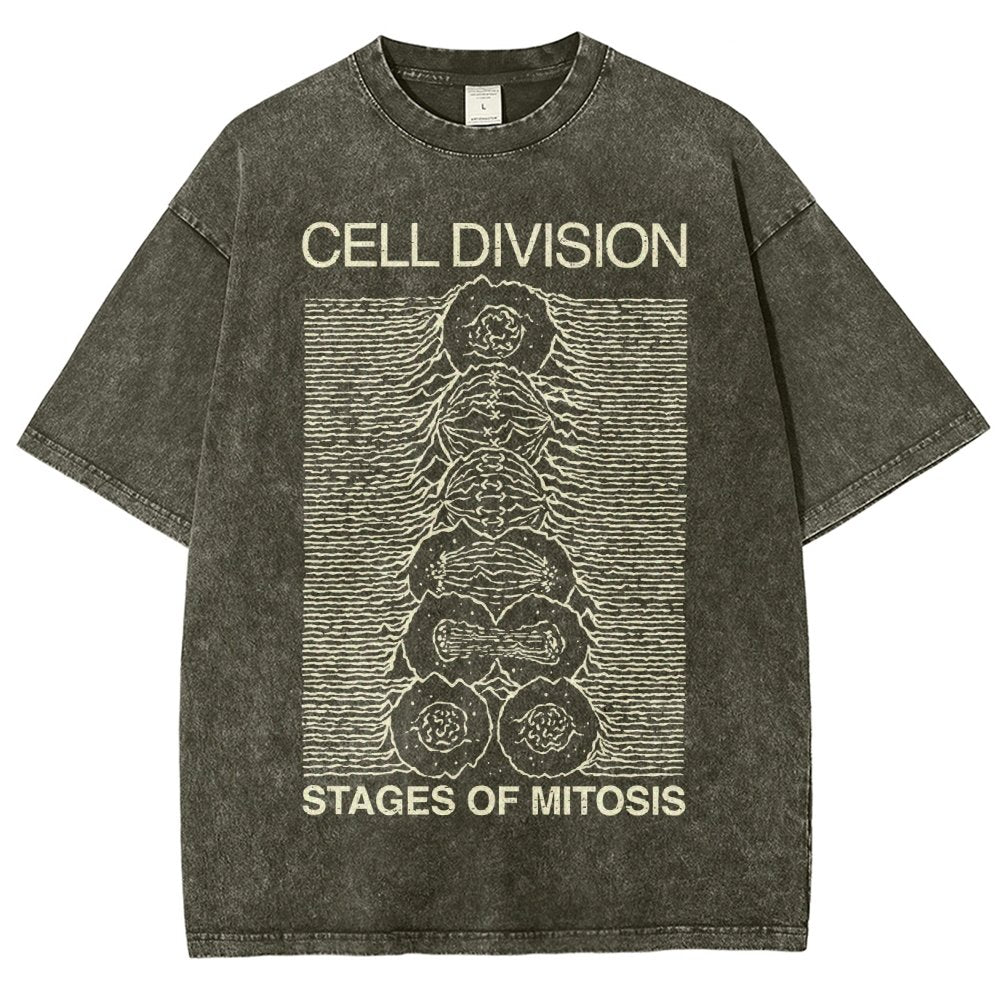 Cell Division- Stages of Mitosis Vintage Distressed T-shirt