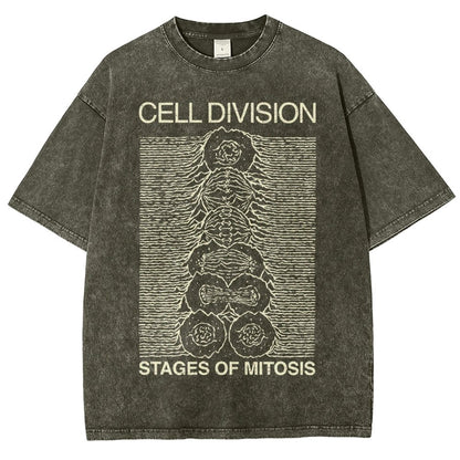 Cell Division- Stages of Mitosis Vintage Distressed T-shirt