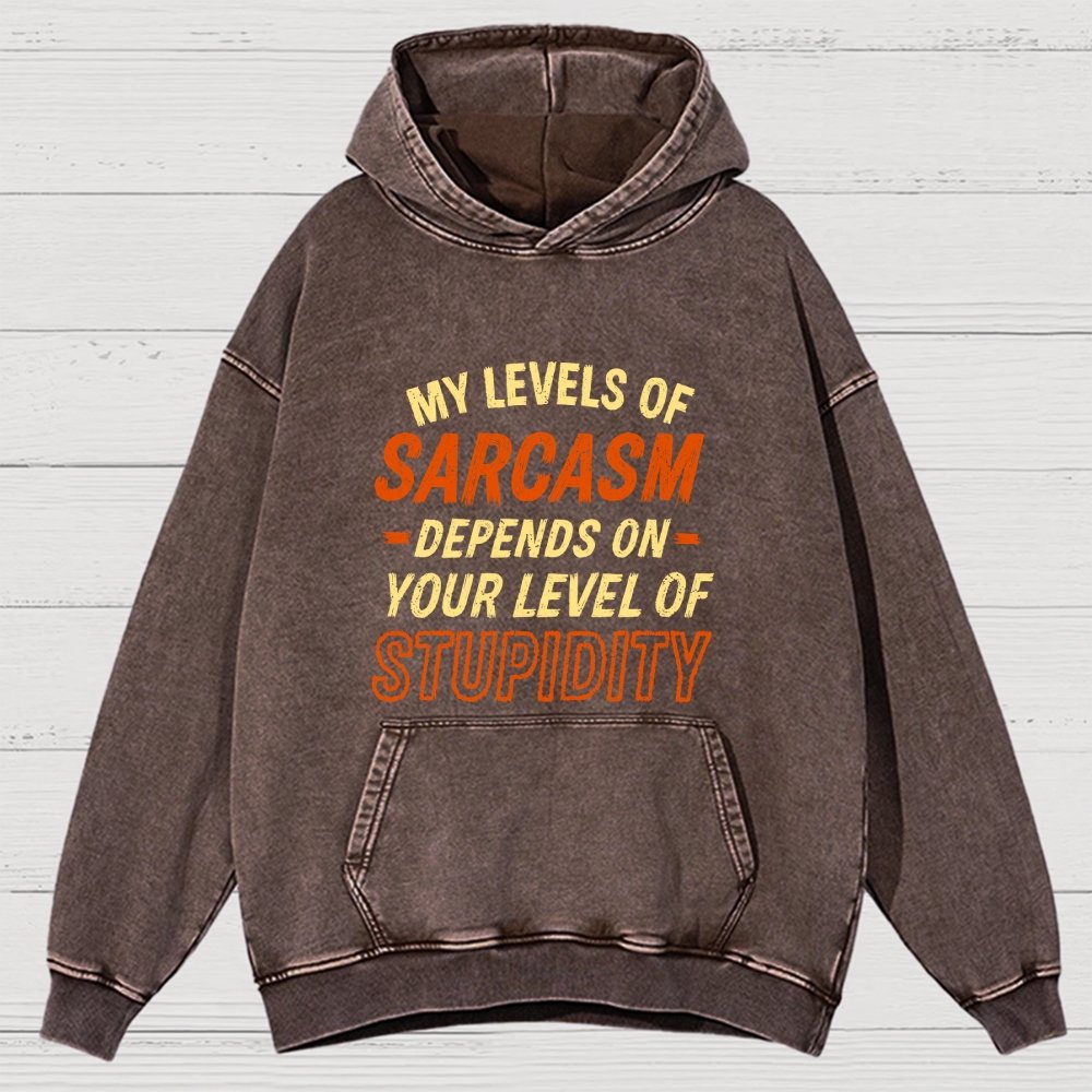 My Level Of Sarcasm Depends Vintage Distressed Hoodie