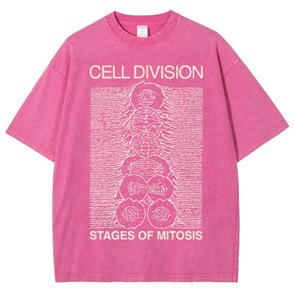 Cell Division- Stages of Mitosis Vintage Distressed T-shirt