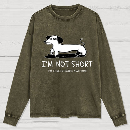 I'm Not Short Washed Long Sleeve Tee