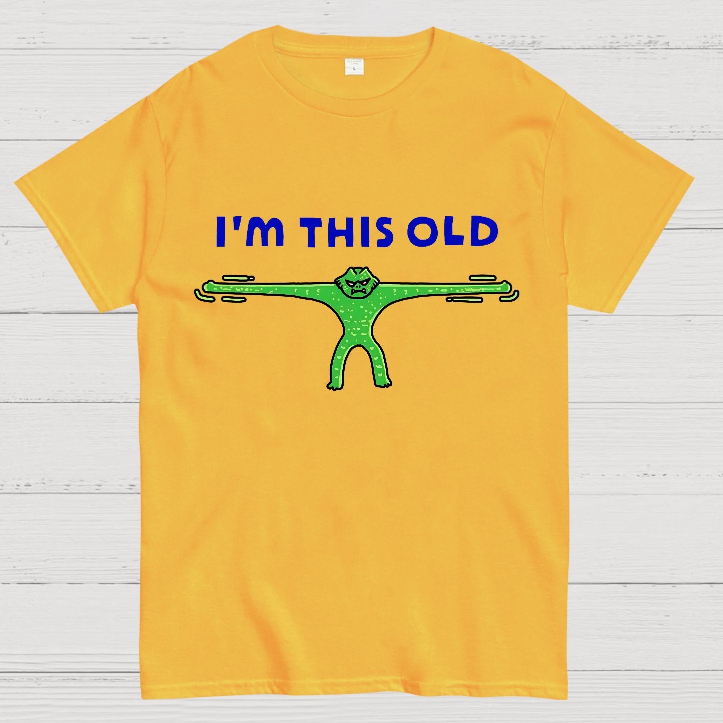 Old As Stretch Geek T-Shirt