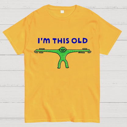 Old As Stretch Geek T-Shirt