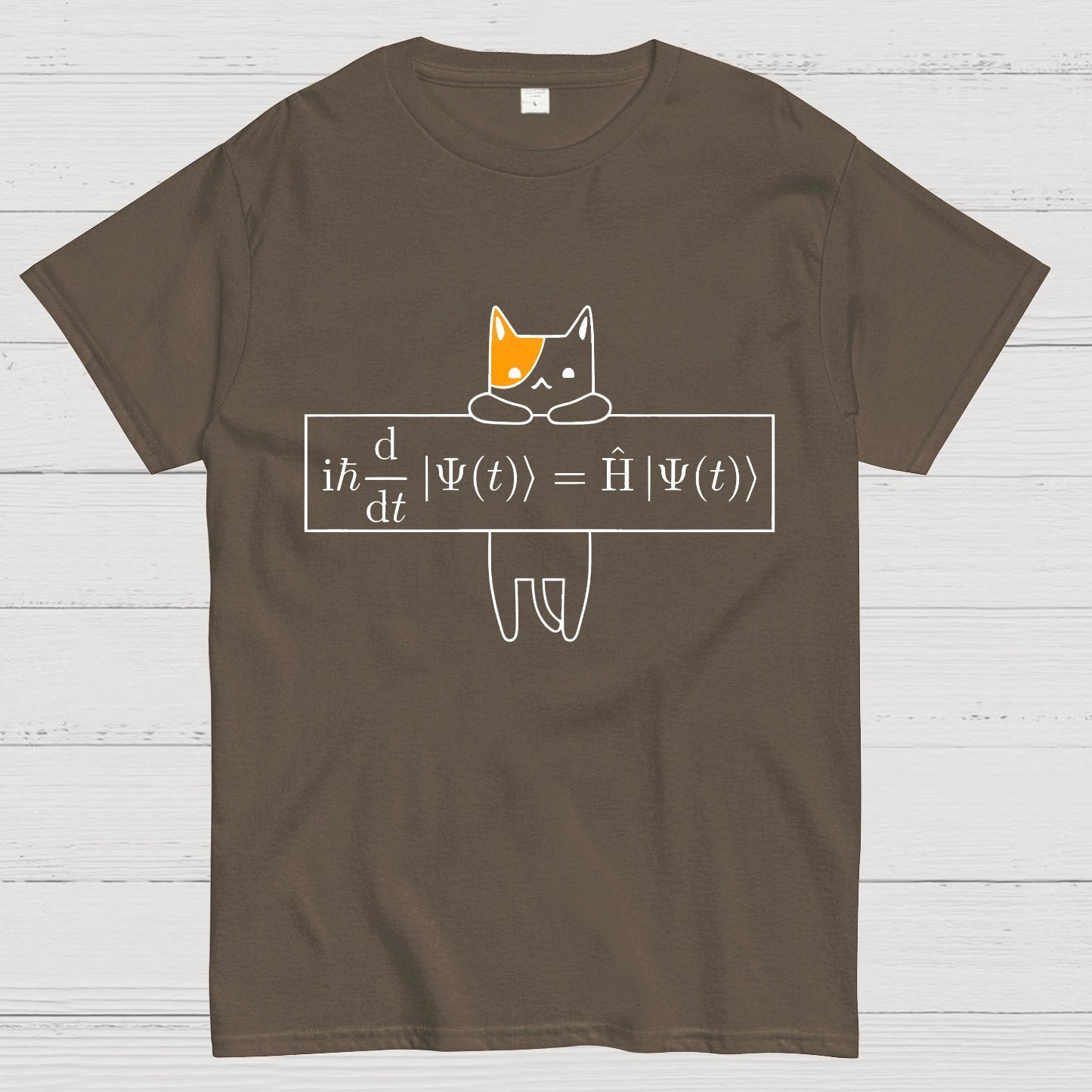 Schrödinger equation Geeky T-Shirt