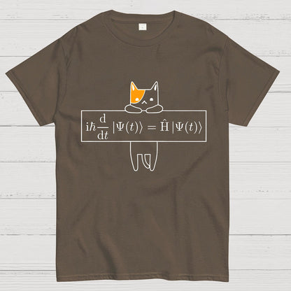 Schrödinger equation Geeky T-Shirt
