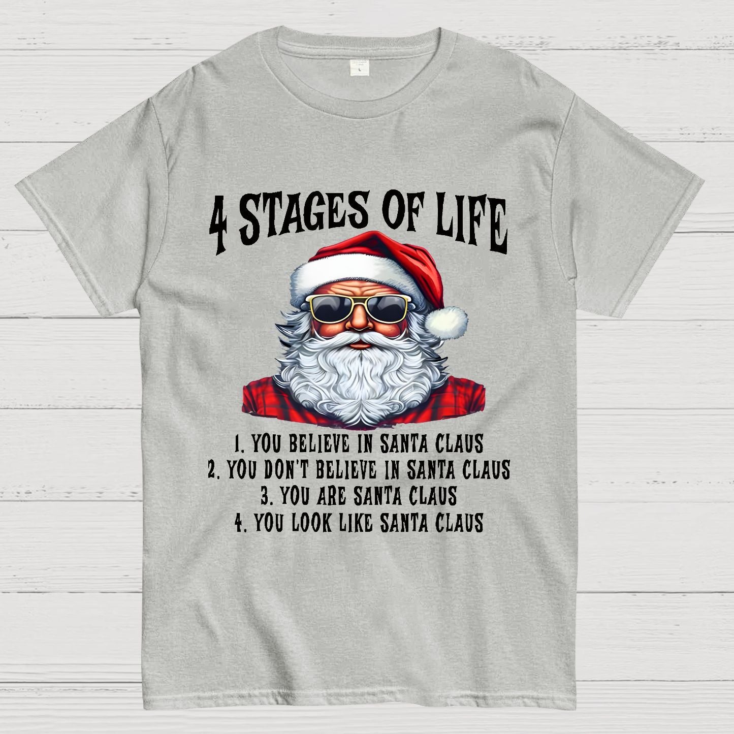 4 Stages Of Life Funny Christmas Geek T-Shirt