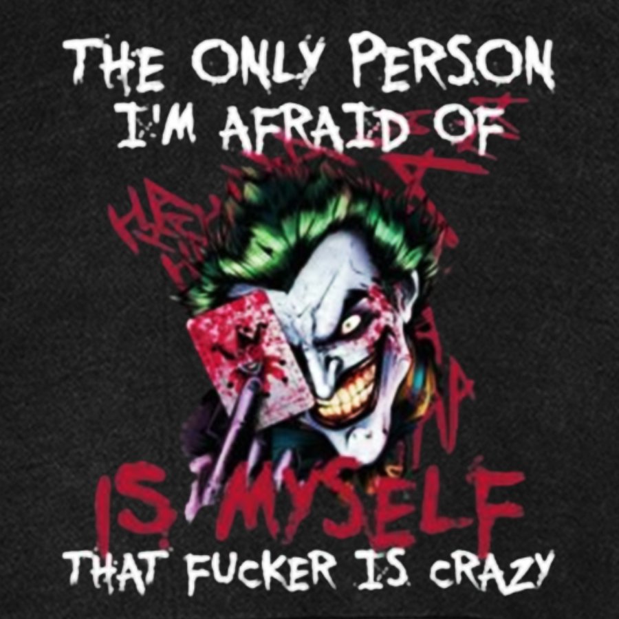 The Only Person I‘m Afraid Of Is Myself Crazy Vintage Distressed Hoodie