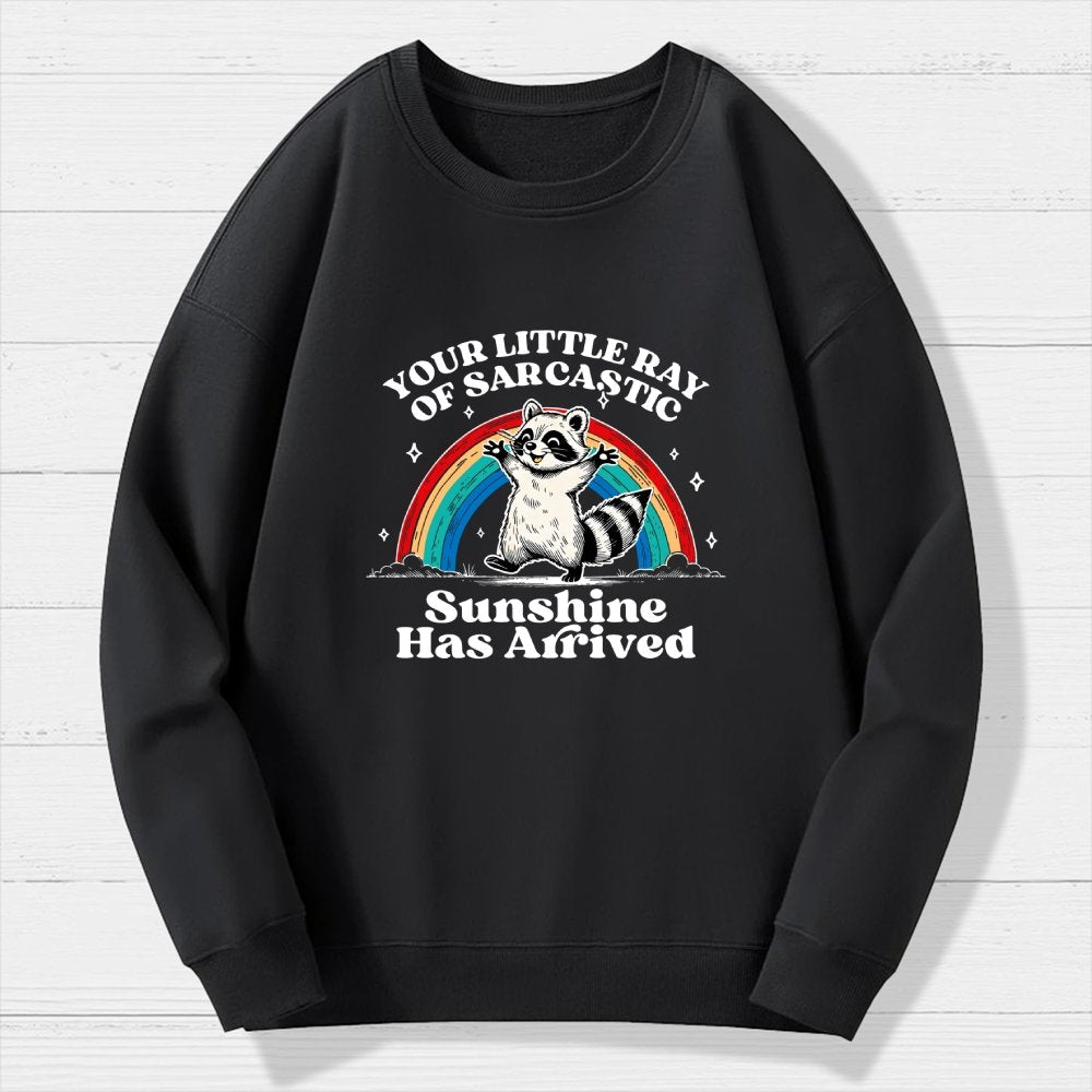 Your Little Ray of Sarcastic Sunshine Has Arrived Geek Cotton Sweatshirt