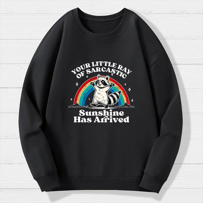 Your Little Ray of Sarcastic Sunshine Has Arrived Geek Cotton Sweatshirt