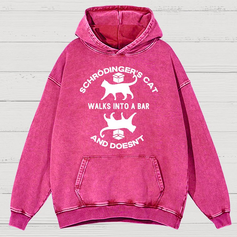 Schrödinger's Cat Vintage Distressed Hoodie