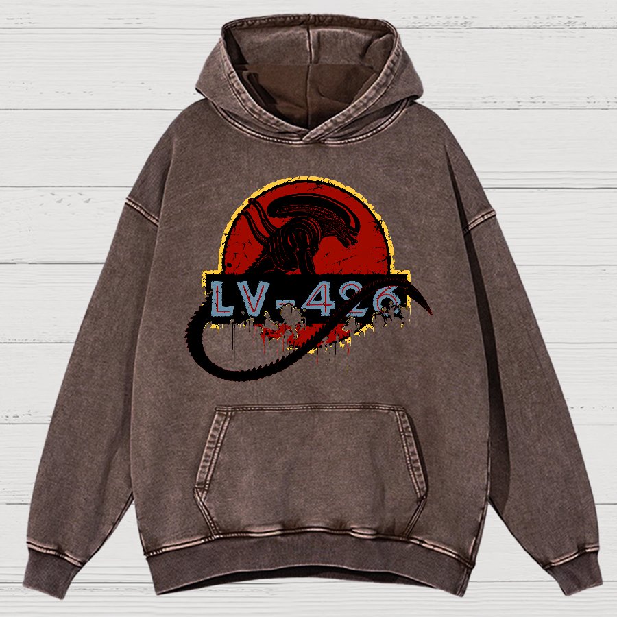 Unknown-426 Vintage Distressed Hoodie