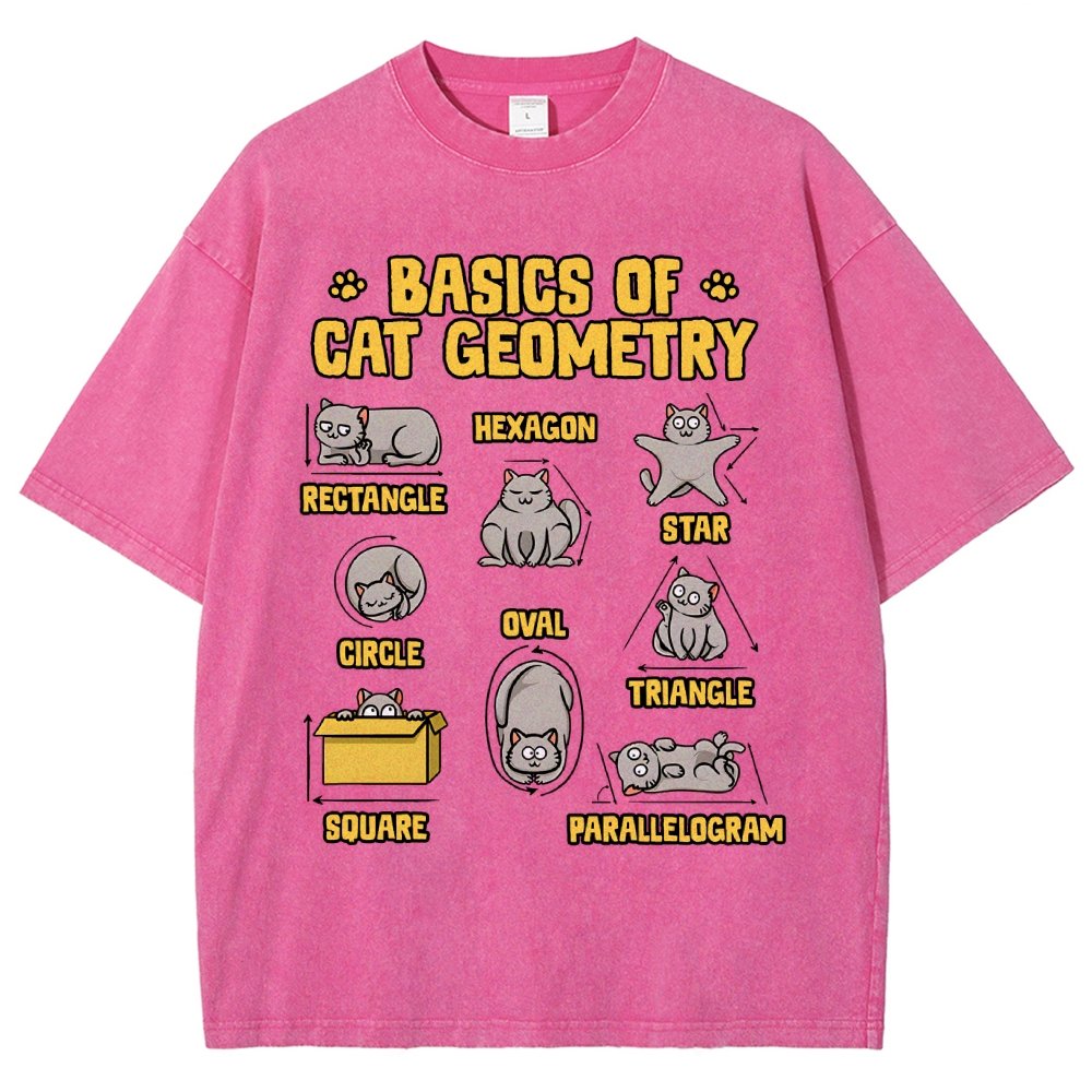 Basics of Cat Geometry Vintage Distressed T-shirt