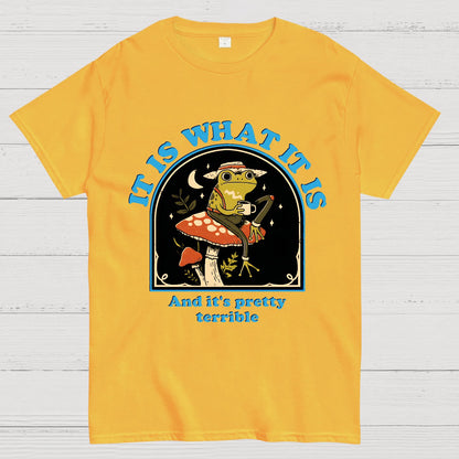 It Is What It Is And It's Pretty Terrible Geek T-Shirt