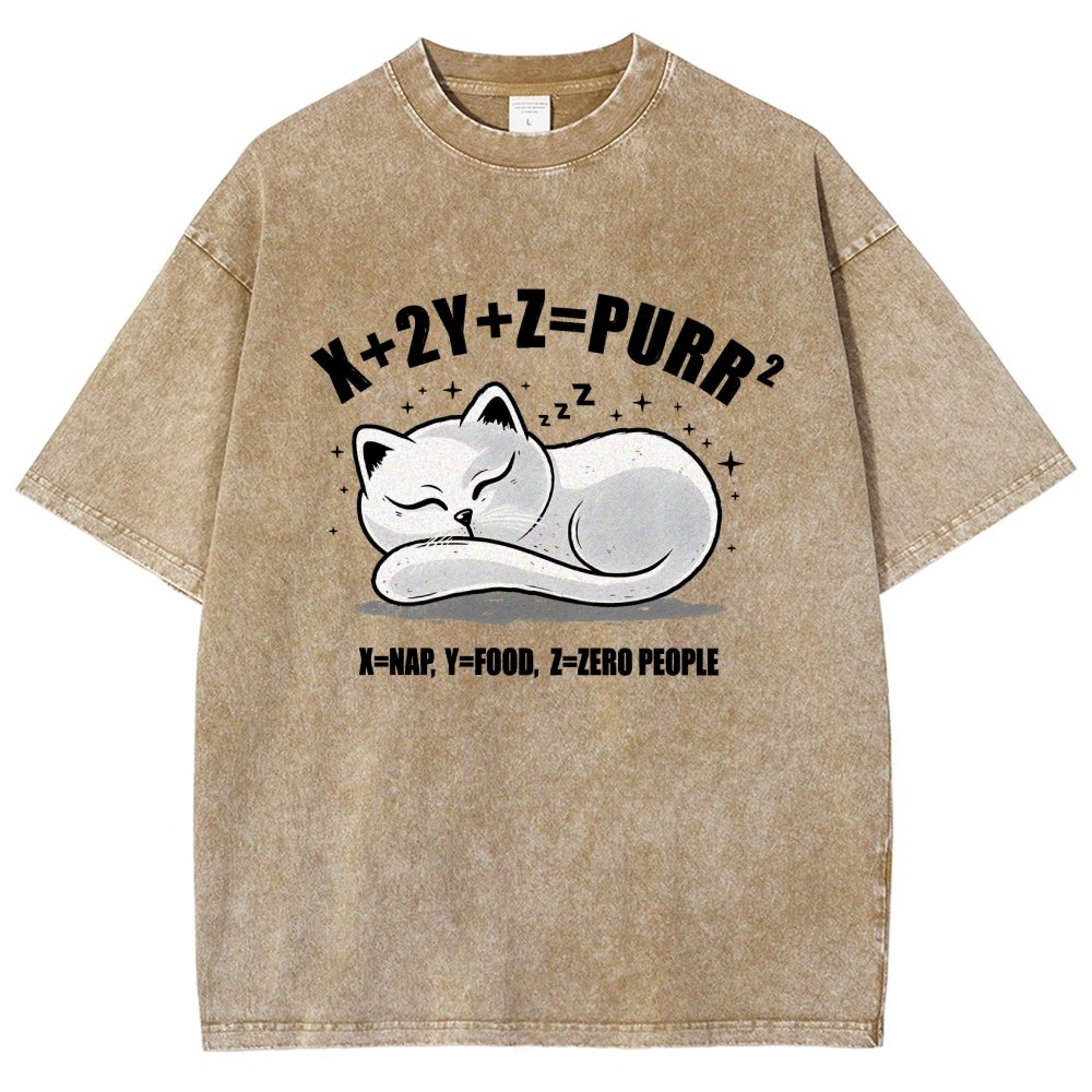 Purrfect Equation Vintage Distressed T-shirt