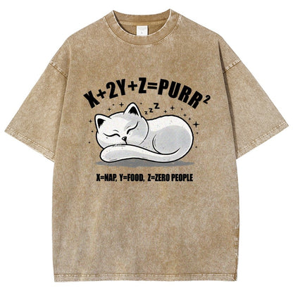 Purrfect Equation Vintage Distressed T-shirt