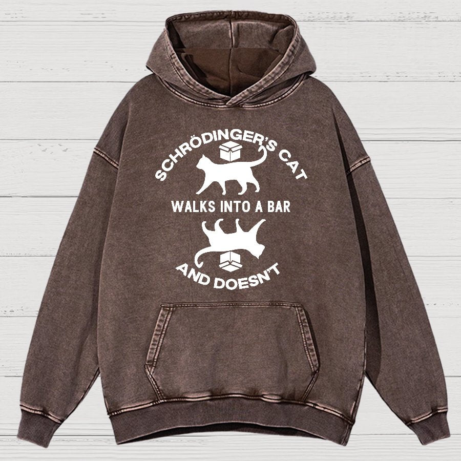 Schrödinger's Cat Vintage Distressed Hoodie