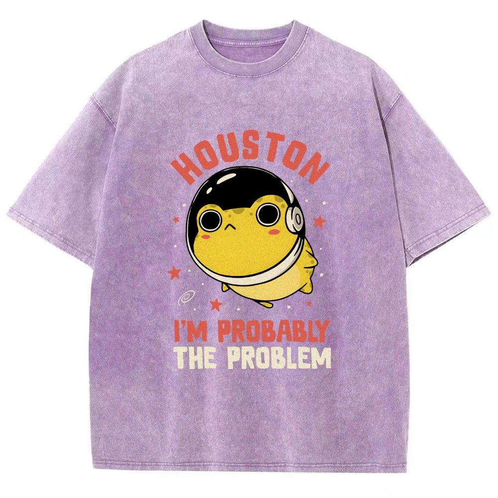 Houston Im Probably The Problem Vintage Distressed T-shirt
