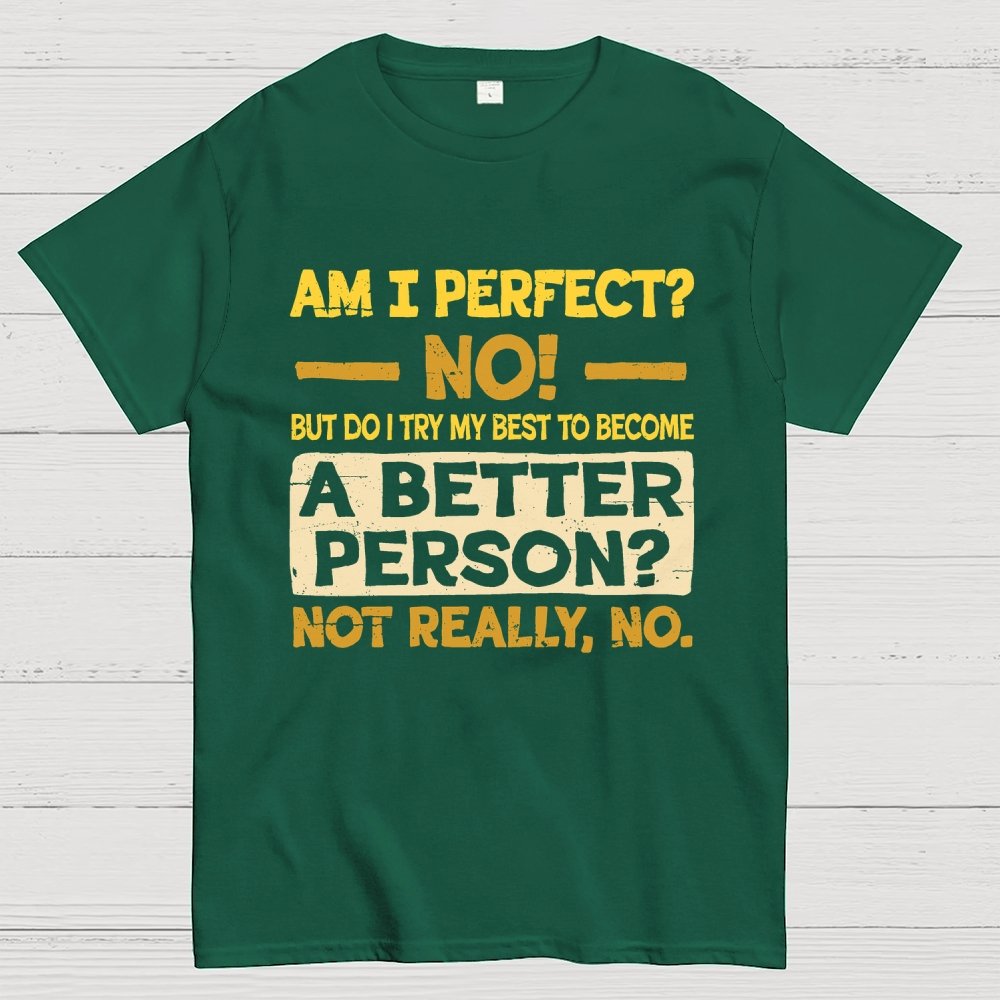 Am I Perfect Geek T-Shirt