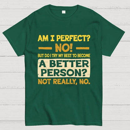 Am I Perfect Geek T-Shirt