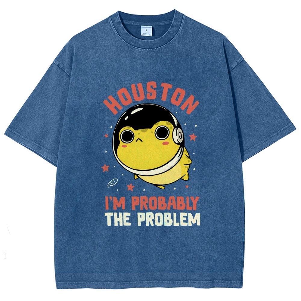 Houston Im Probably The Problem Vintage Distressed T-shirt