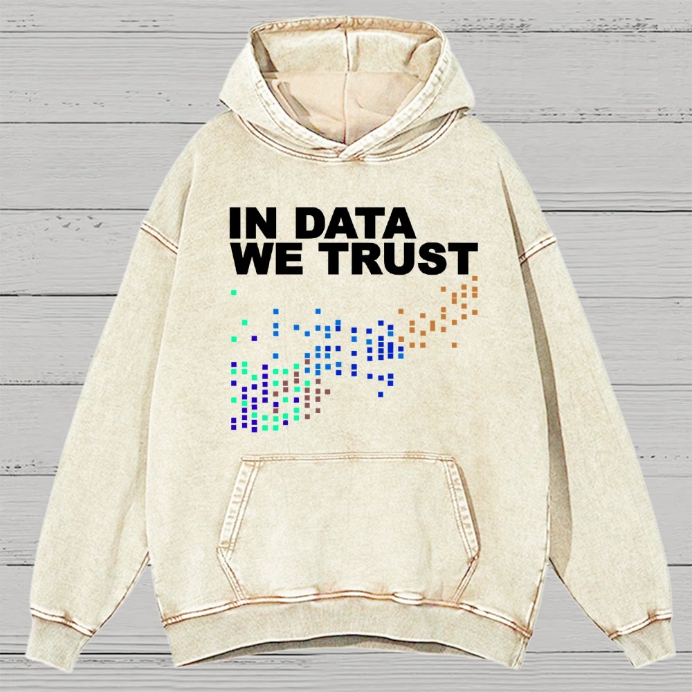 In Big Data We Trust Vintage Distressed Hoodie