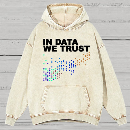 In Big Data We Trust Vintage Distressed Hoodie