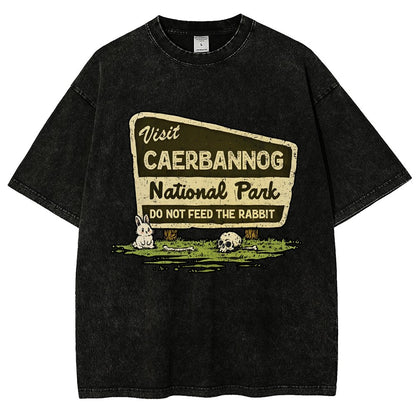 Mystic Valley National Park Vintage Distressed T-shirt
