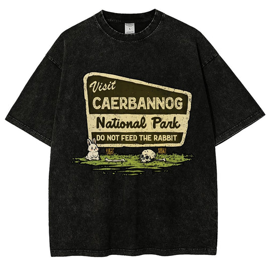 Mystic Valley National Park Vintage Distressed T-shirt