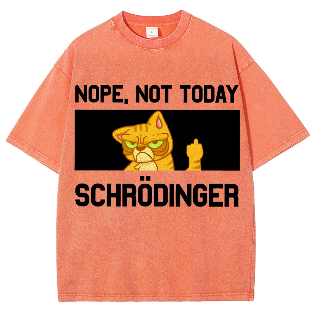 Schroedingers Cat Dark Humor Vintage Distressed T-shirt