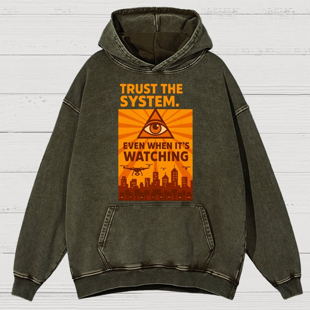 Trust The System - Dystopian Surveillance Vintage Distressed Hoodie