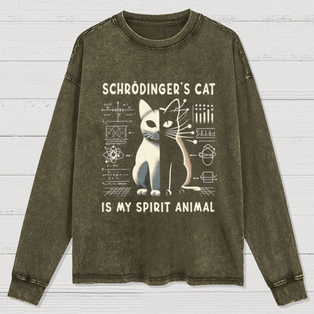 Schrodinger's Сat Science Washed Long Sleeve Tee