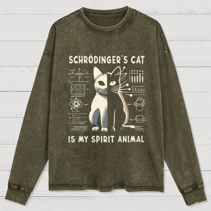 Schrodinger's Сat Science Washed Long Sleeve Tee