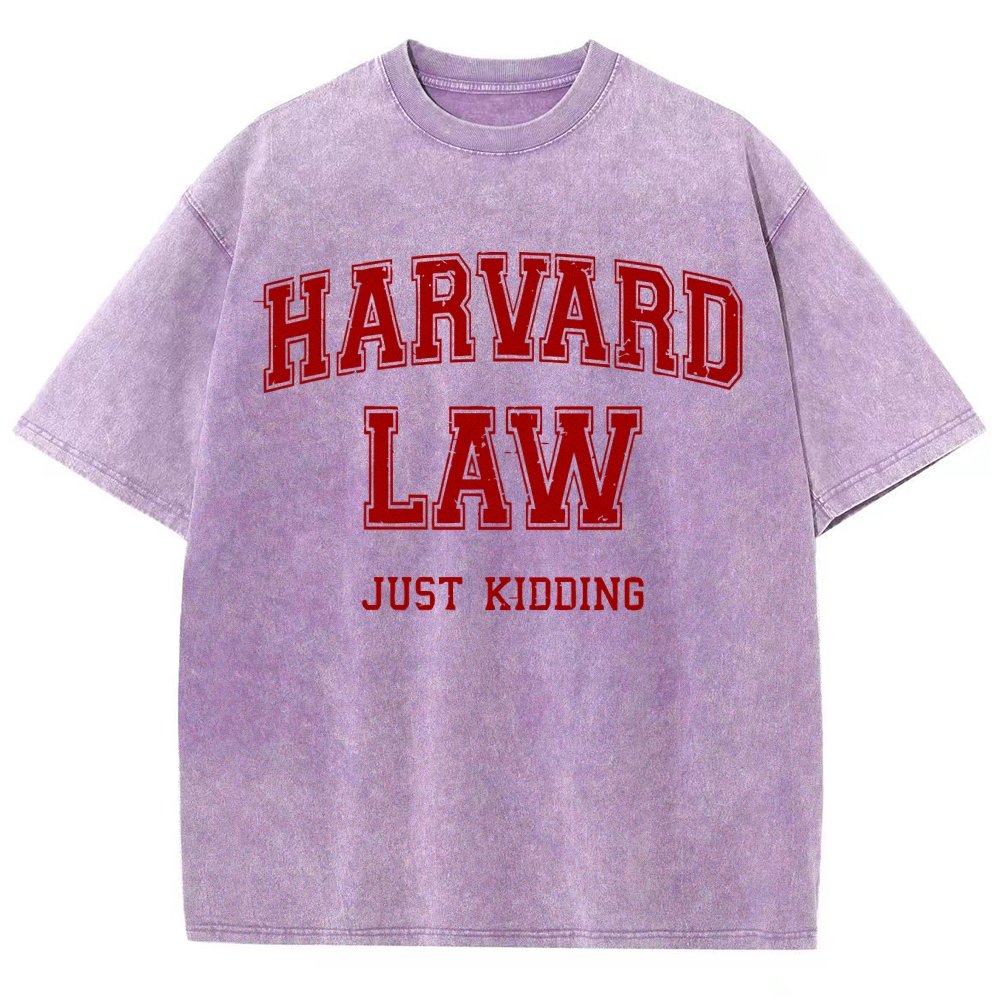 Harvard Law (Just Kidding)  Vintage Distressed T-shirt