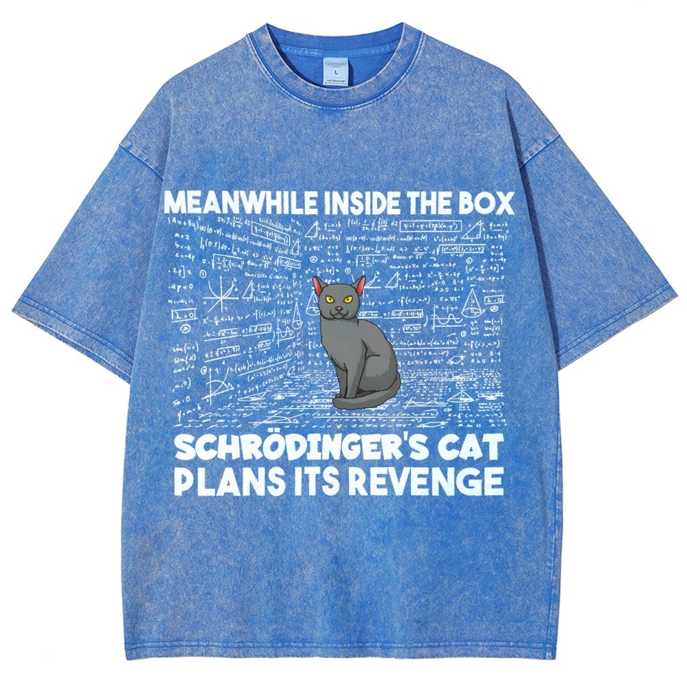 Inside The Box Schrödingers Cat Plans Its Revenge Vintage Distressed T-shirt