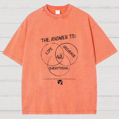 Diagram Of Everything Vintage Distressed T-shirt