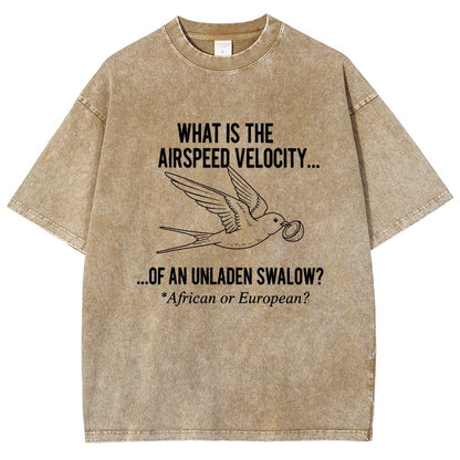 What Is The Airspeed Velocity...Art Print Vintage Distressed T-shirt