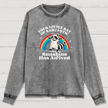 Your Little Ray of Sarcastic Sunshine Has Arrived Washed Long Sleeve Tee