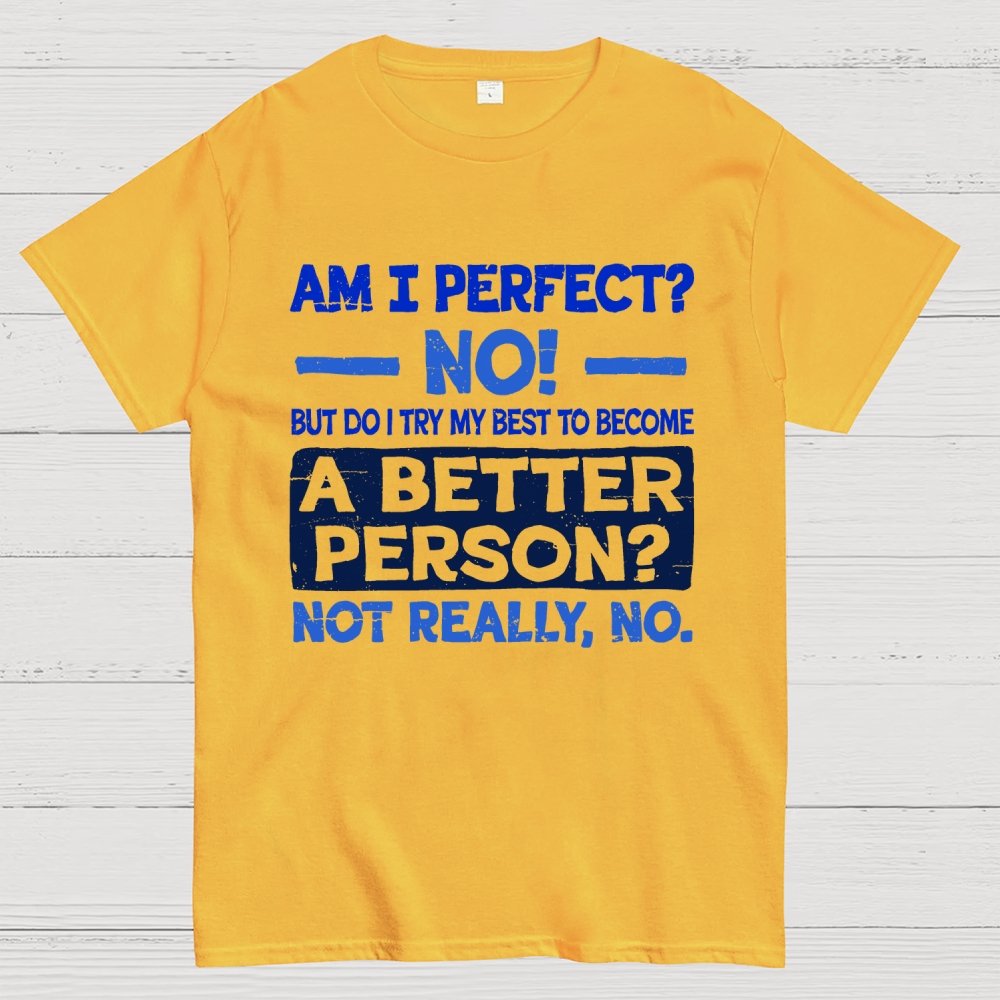 Am I Perfect Geek T-Shirt