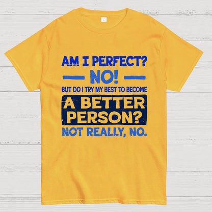 Am I Perfect Geek T-Shirt
