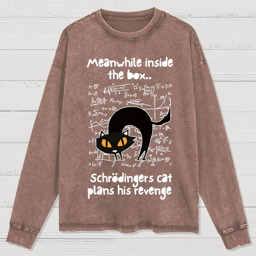Schrodingers Cat Revenge Washed Long Sleeve Tee