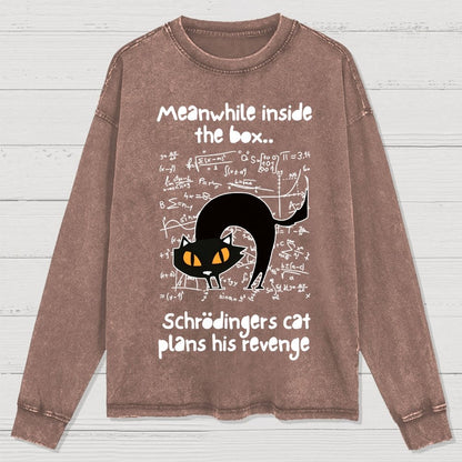 Schrodingers Cat Revenge Washed Long Sleeve Tee