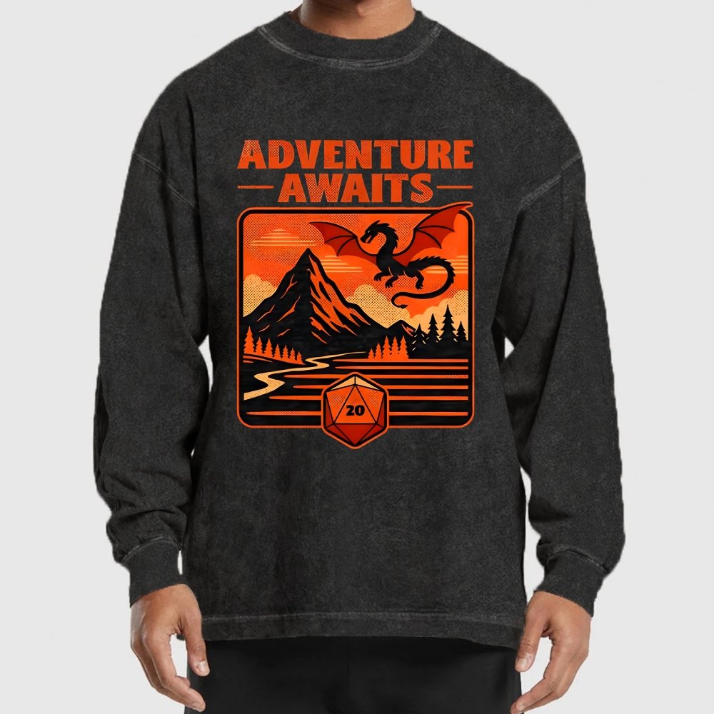 RPG Vintage Adventure Dragon Washed Long Sleeve Tee