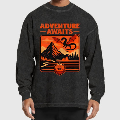 RPG Vintage Adventure Dragon Washed Long Sleeve Tee