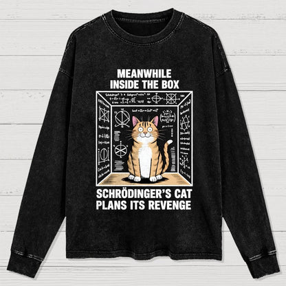 Schrodinger's Cat Escape Plan Washed Long Sleeve Tee