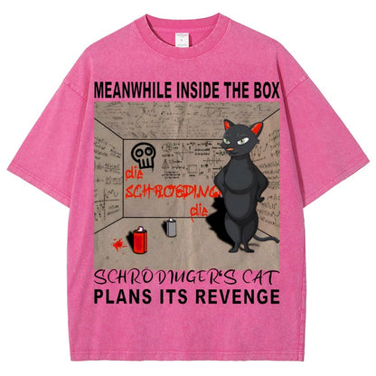 Inside The Box：Schrödingers Cat Plans Its Revenge Vintage Distressed T-shirt