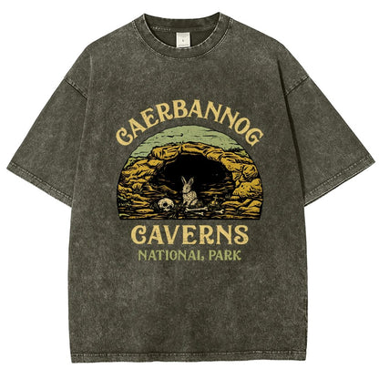Mystic Caverns National Park Vintage Distressed T-shirt